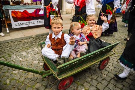Povorka ob dnevih narodnih noš in oblačilne dedščine (87)